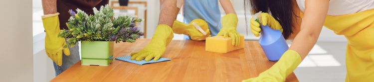 Beverly Hills Deep Cleaning Service: Elevating Your Home's Cleanliness | Fresh Flare