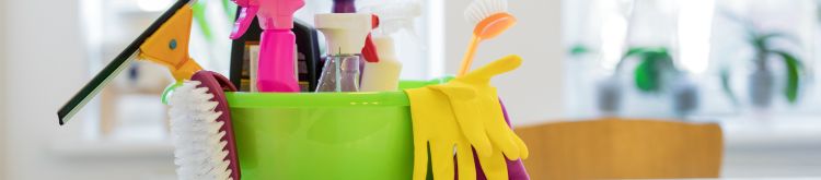 House Cleaning Services Santa Monica – Expert vs. DIY | Fresh Flare