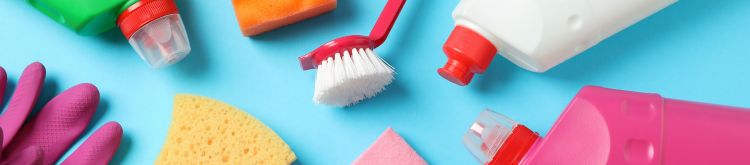 Marina Del Rey Deep Cleaning Service: Your Path to a Healthier Home | Fresh Flare