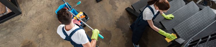 Glendale Deep Cleaning Service – A Healthier Home, Fresher Air | Fresh Flare