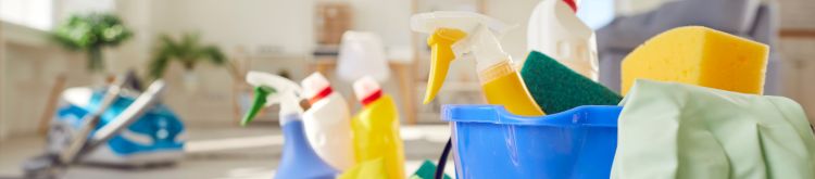 Glendale Recurring Cleaning Service: Keep Your Home Spotless Year-Round | Fresh Flare