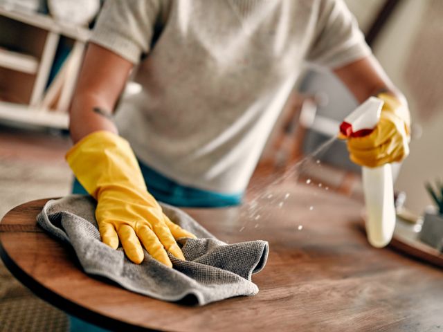 How to Keep Your Home Clean with Pet-Safe Cleaning Solutions | Fresh Flare Cleaning Services